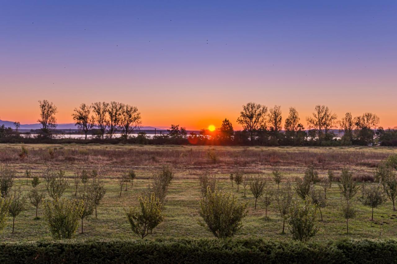 Stejarii Resort Ineu エクステリア 写真