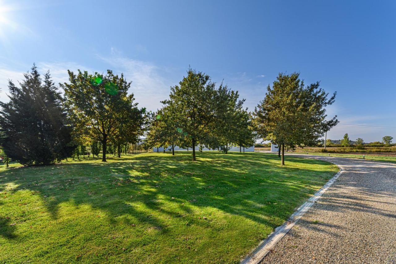 Stejarii Resort Ineu エクステリア 写真